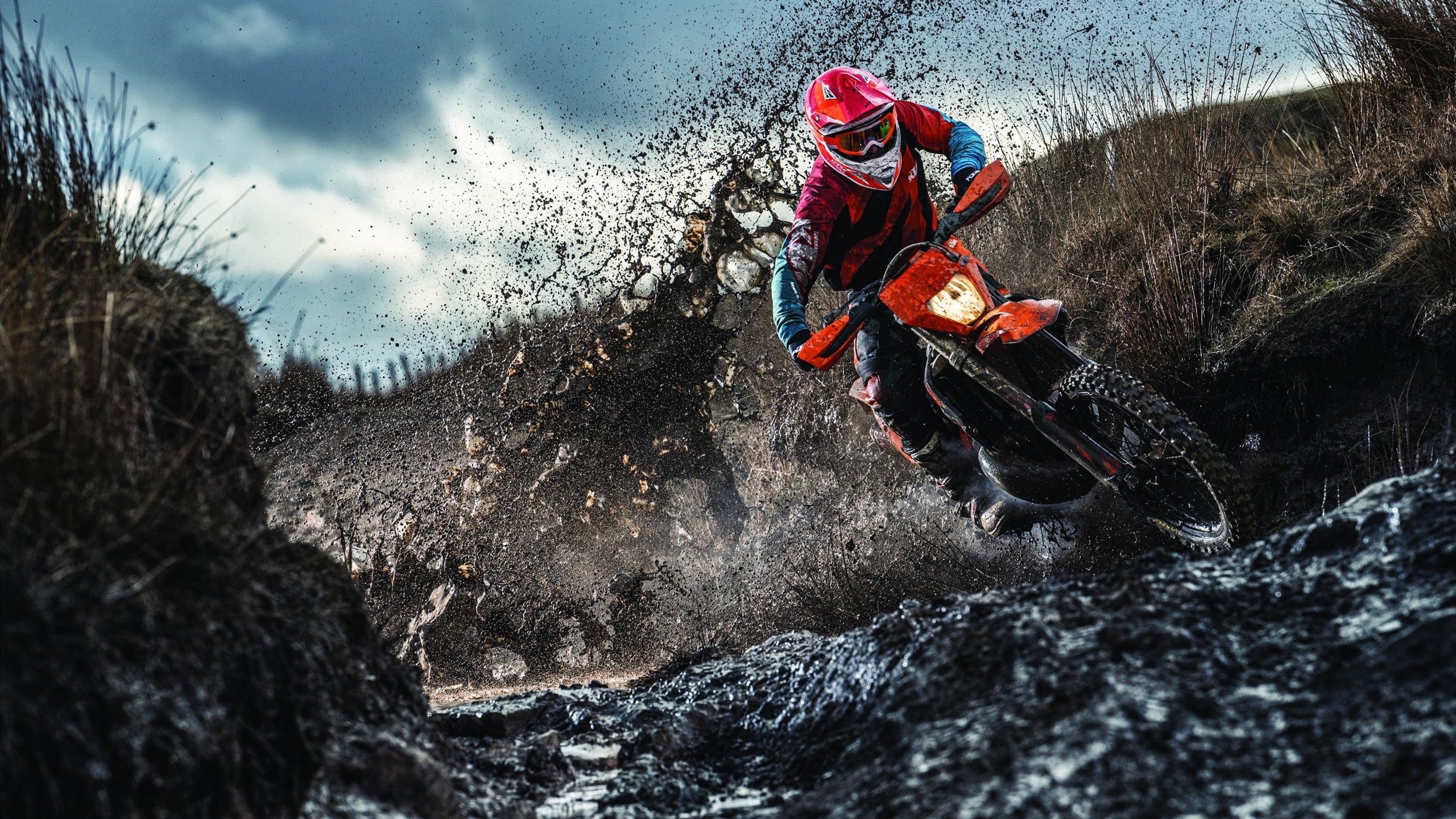 自由泳波兰选手勇挑重担,自由泳波兰选手勇挑重担的视频